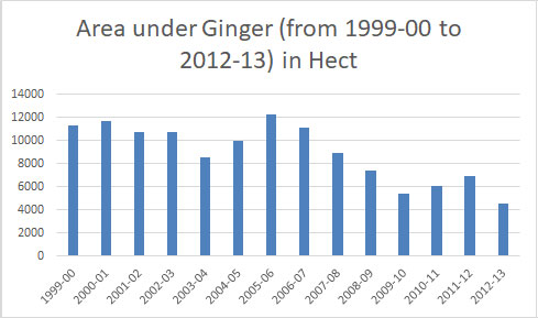 area-under-ginger