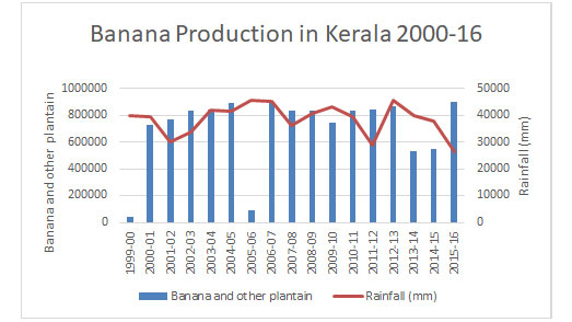 production-banana