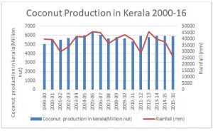 production-coconut