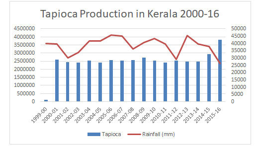 production-tapioca